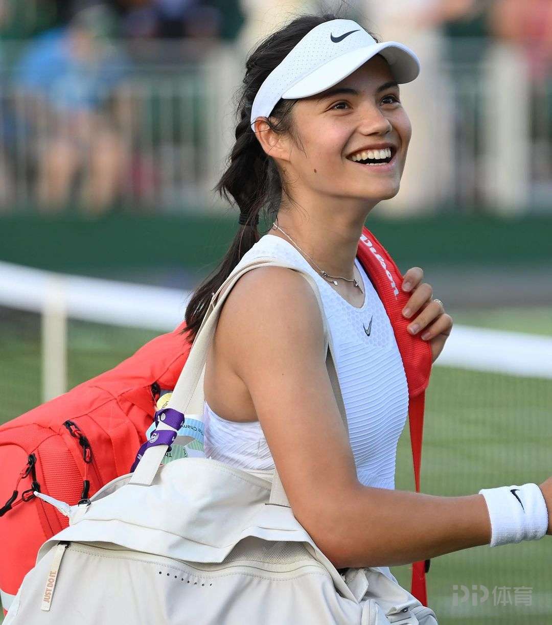 罗德里的掌 罗德里的掌