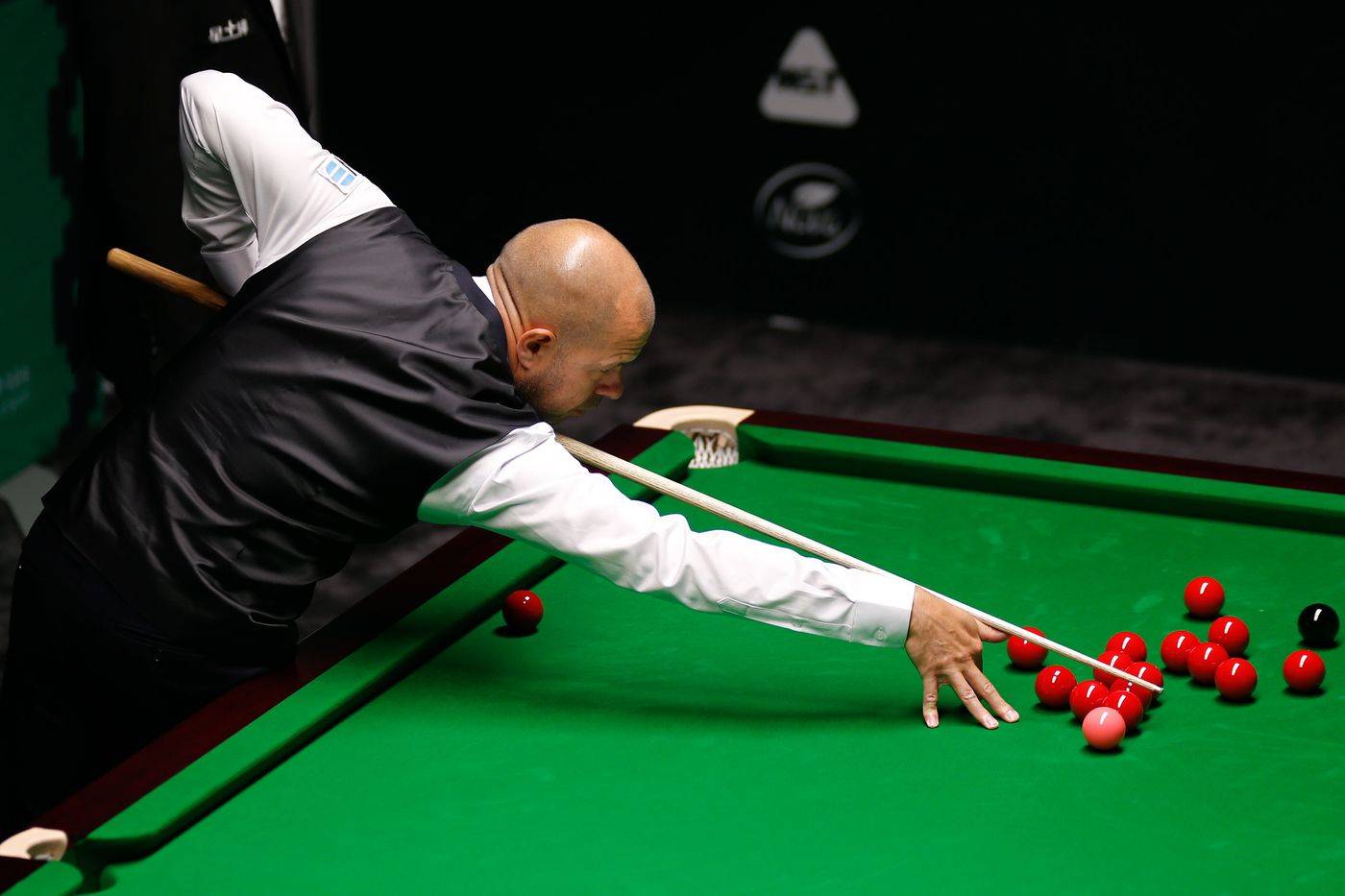 伸出橄榄枝 伸出橄榄枝